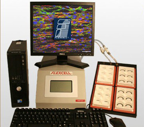 三維機械力刺激立體水凝膠支架培養系統