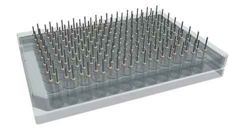 PerFuseIt �c(di��n)�κ���