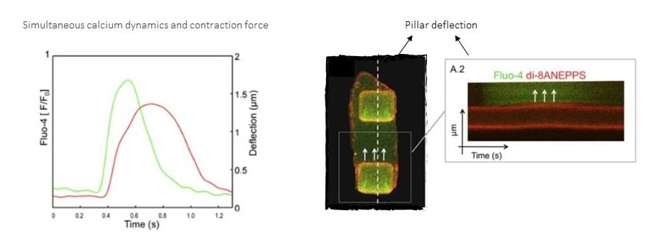 1684210709592043217.jpg QQ截圖20230516121352.jpg