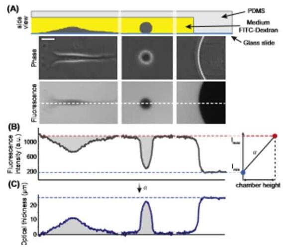 1684218787435089422.jpg 00011.jpg