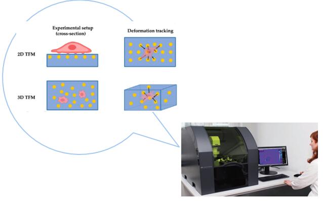 1686022289445050019.jpg QQ截圖20230606113157.jpg