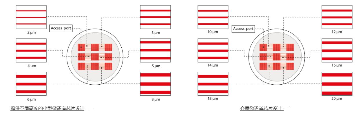 1686470653318086277.jpg 細胞遷移微通道培養皿2.jpg