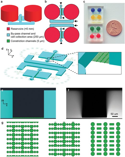 1686539739136040195.jpeg 細胞遷移受限微流控裝置.jpeg