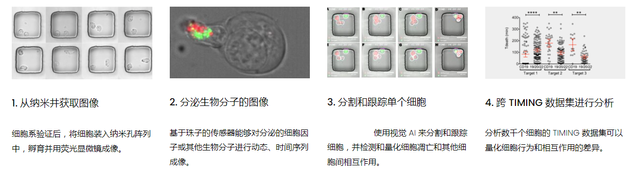 1687773797011020604.png 工作流程.png