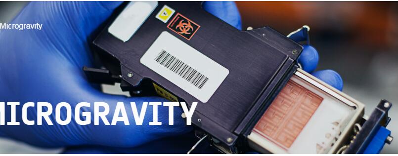 微重力細胞/植物孵育裝置