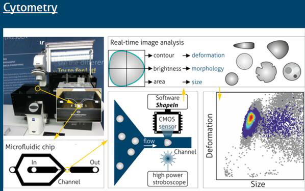 流式單細胞力學特性測試分析系統