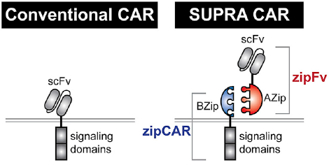 超級CAR來了，看看它是怎么設(shè)計(jì)的