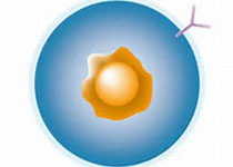 1512452805105699.jpeg dagj.jpg