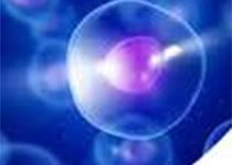 1548741462581044.jpeg QQ截圖20170221113639.jpg